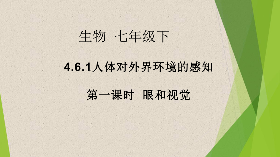 优课《眼和视觉》一等奖课件.pptx_第1页