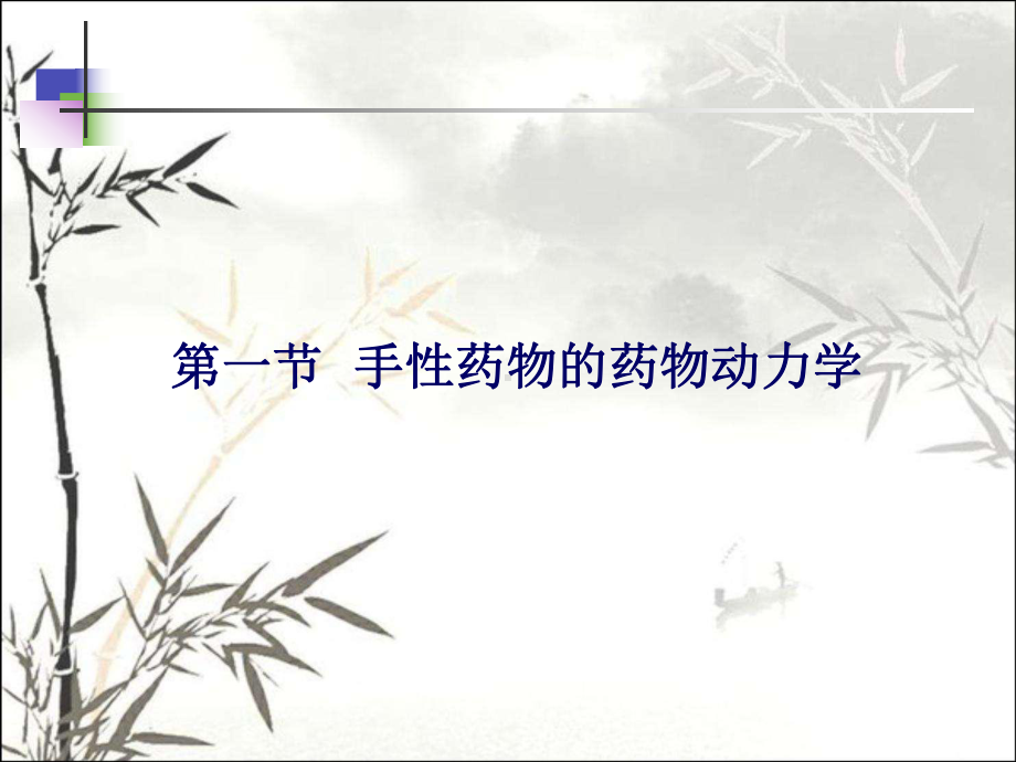 药物动力学研究进展-PPT课件.ppt_第2页