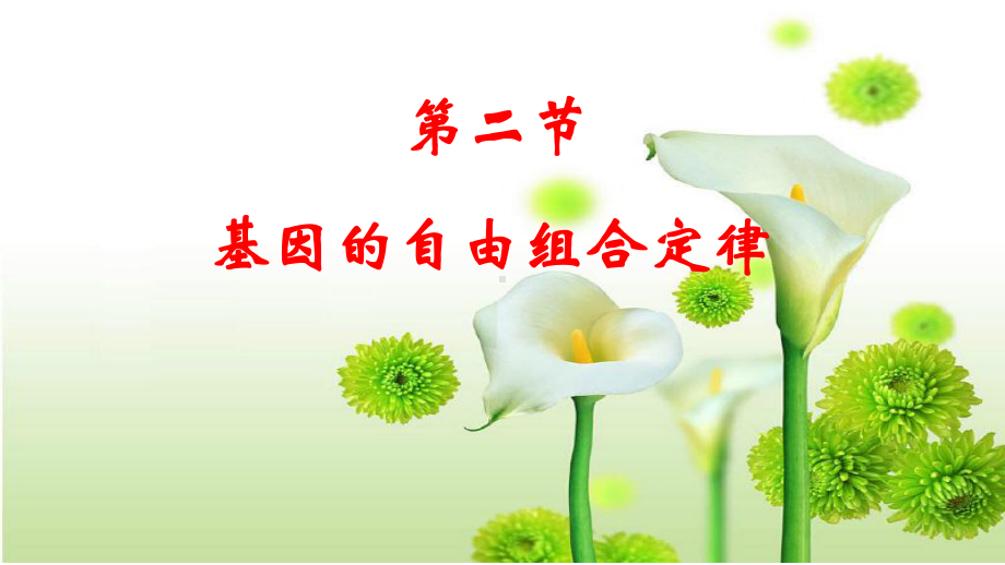 高中生物自由组合定律-公开课ppt课件.ppt_第1页