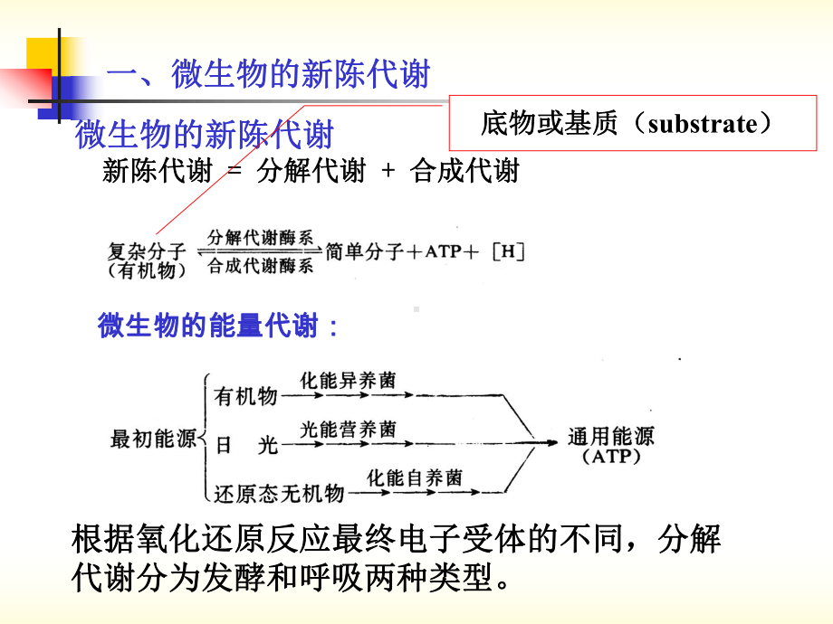 污水生物处理的基本概念和生化反应动力学基础新课件.pptx_第2页