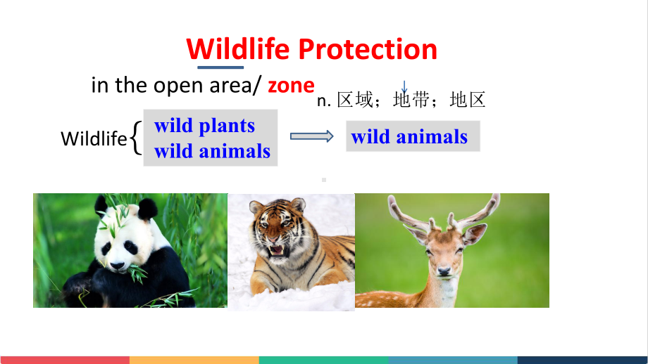 高中英语Wildlife-Protection-Vacabulary-learning公开课精品课件.pptx_第2页