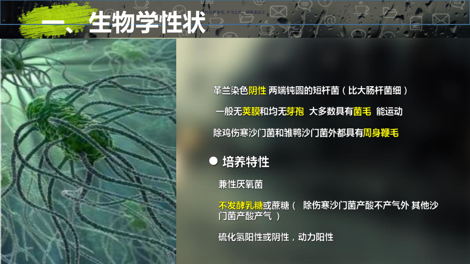 沙门氏菌主题医学知识课件.ppt_第2页