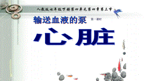 《输送血液的泵-心脏》第一课时一等奖公开课课件.ppt.pptx