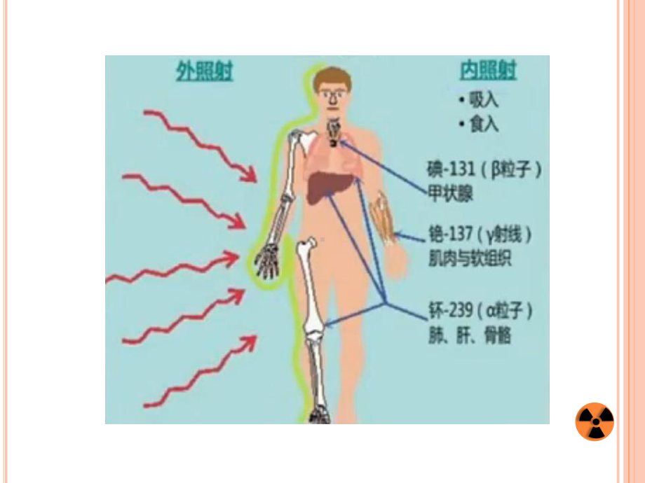 高等电离辐射防护教程 外照射防护课件.pptx_第2页