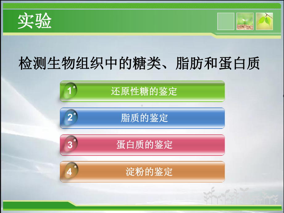 检测生物组织中的还原糖、脂肪和蛋白质(精品课件).ppt.ppt_第2页