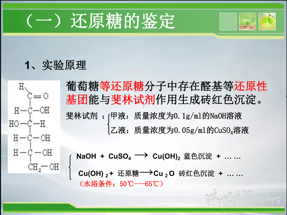 检测生物组织中的还原糖、脂肪和蛋白质(精品课件).ppt.ppt_第3页