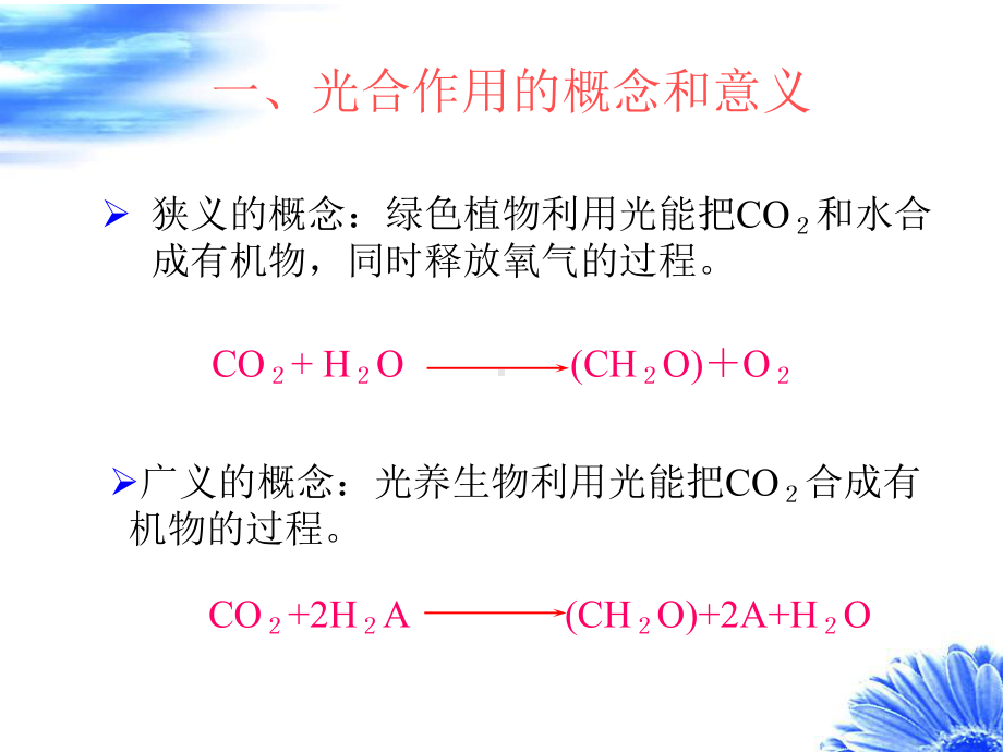 植物生理学植物的光合作用课件.pptx_第3页