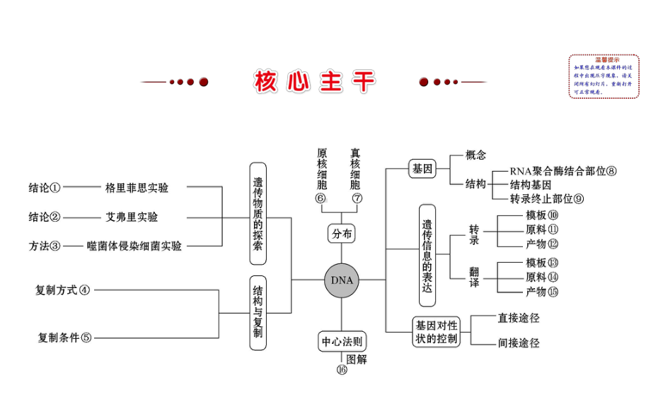 高三生物二轮复习2.6专题6遗传的分子基础课件.ppt_第3页