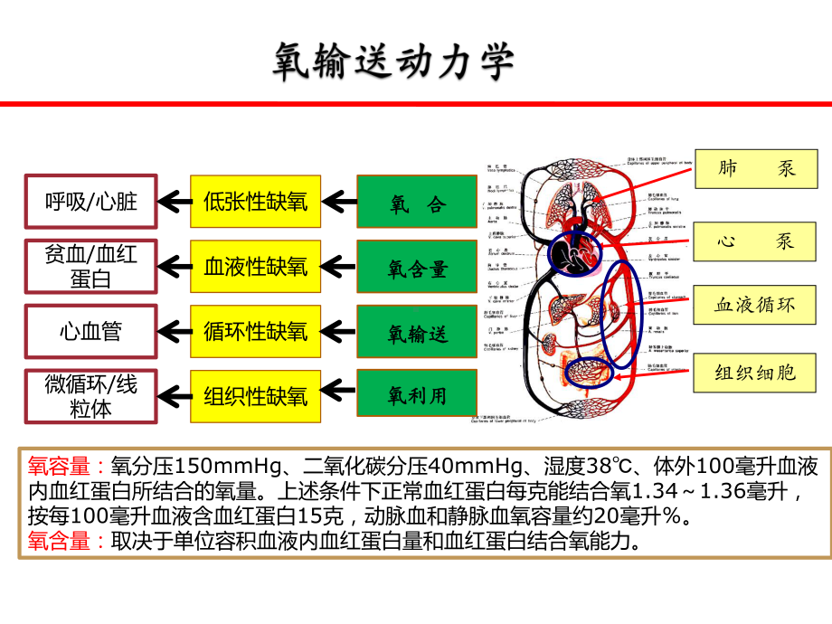 氧疗技术课件.pptx_第2页