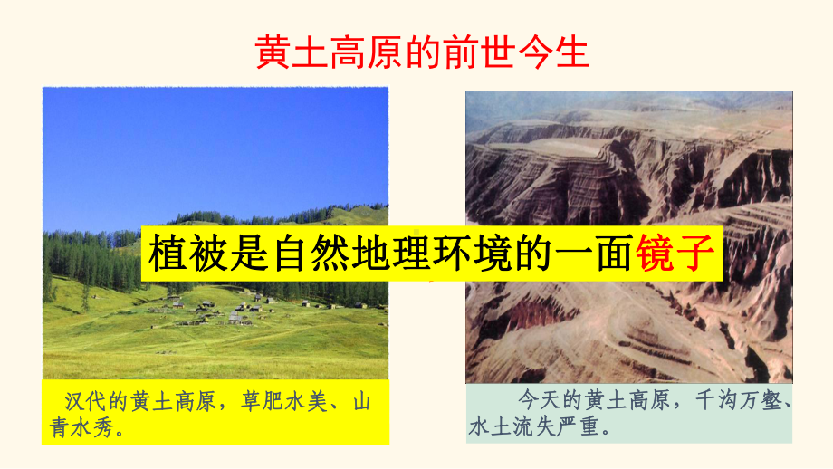 植被对自然地理环境的影响-ppt课件.ppt_第1页