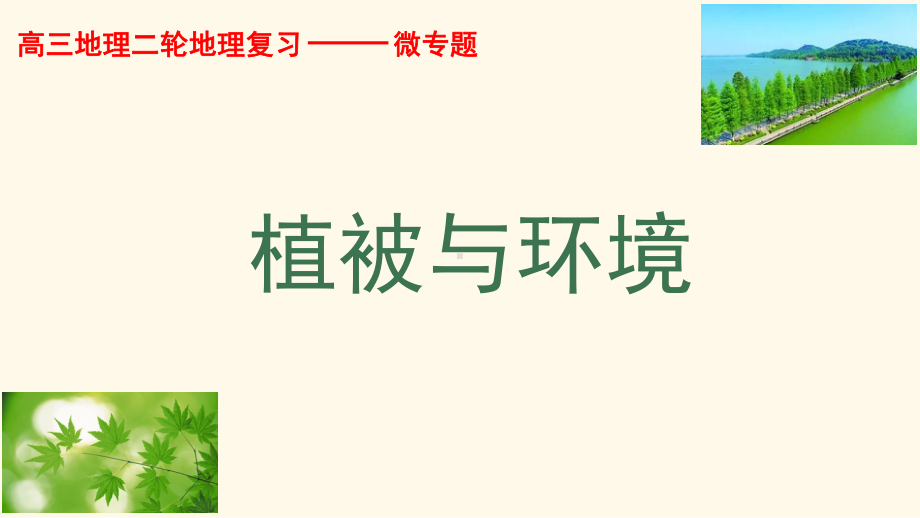 植被对自然地理环境的影响-ppt课件.ppt_第2页