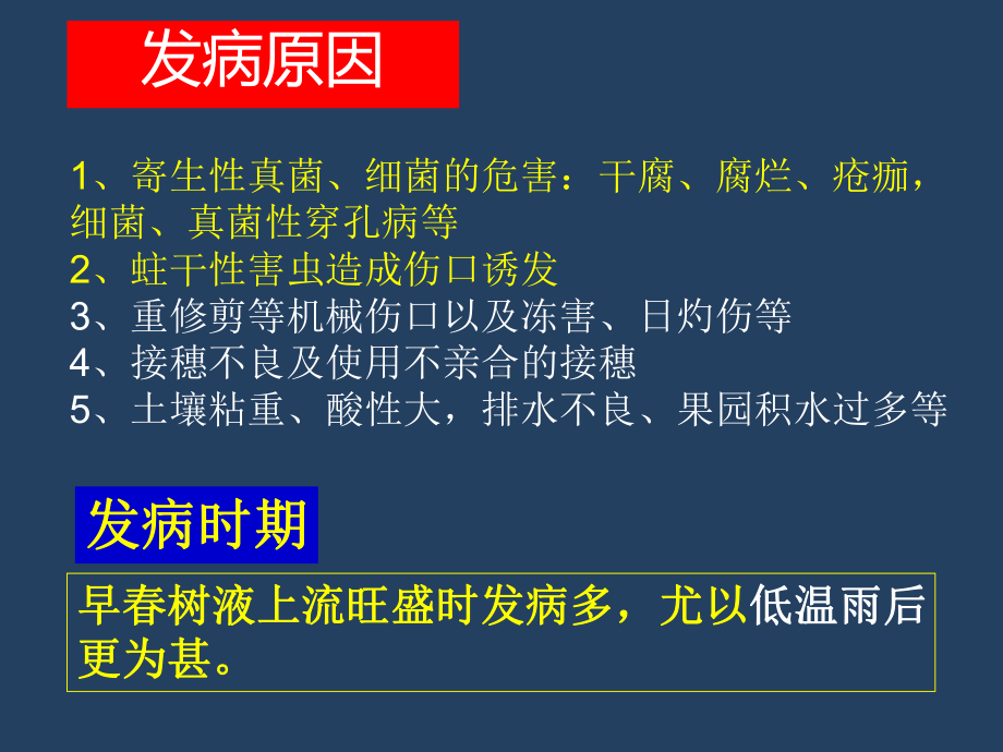 桃树病虫害高清图谱课件.pptx_第3页