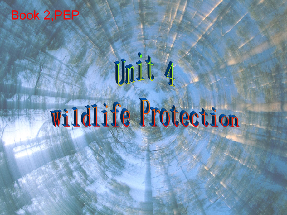 高中英语必修2Unit4WildlifeProtection课件.pptx_第2页