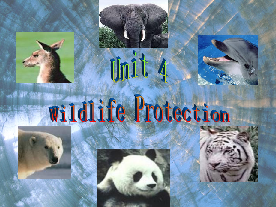 高中英语必修2Unit4WildlifeProtection课件.pptx_第3页