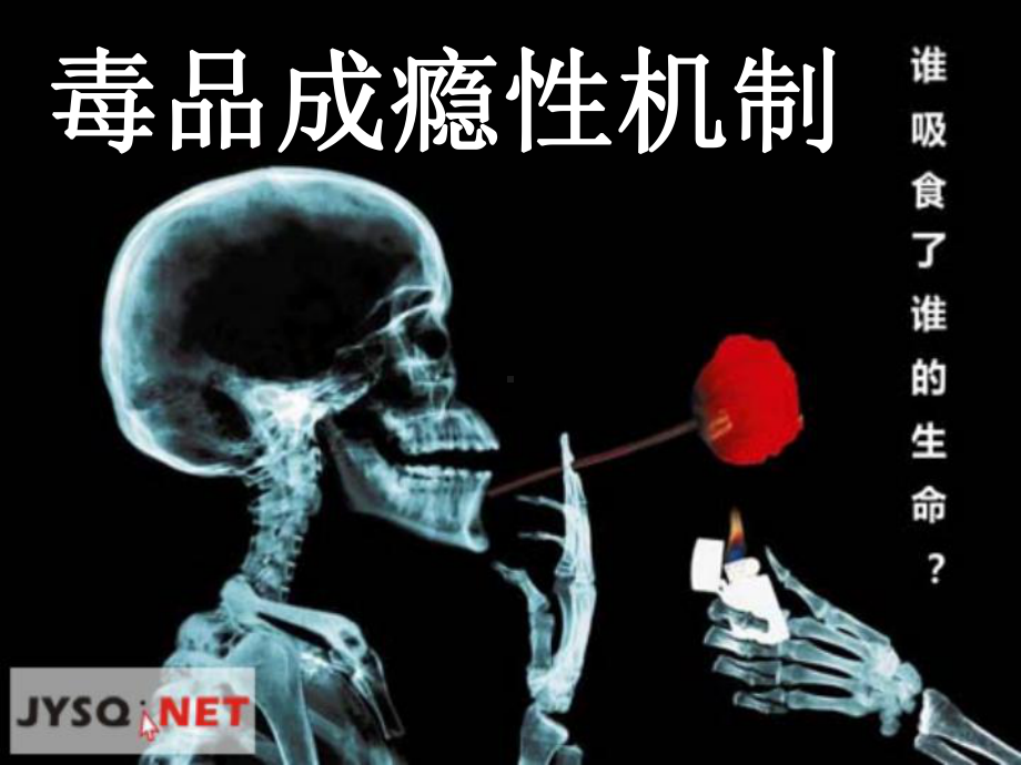 毒品成瘾性机制课件.pptx_第1页