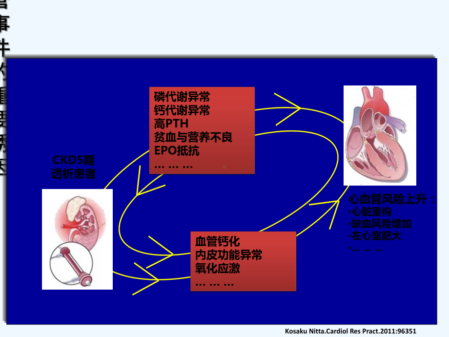 透析患者钙磷代谢紊乱的诊治-PPT课件.ppt_第2页