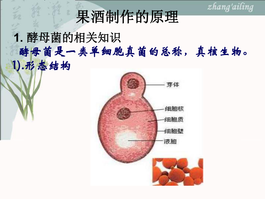 高中生物选修课件.ppt_第3页