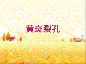 黄斑裂孔的护理-PPT课件.ppt