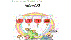 《输血与血型》优质课一等奖课件.pptx