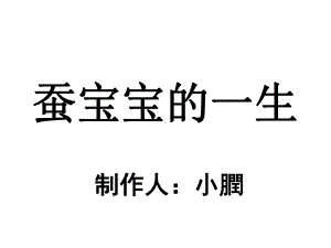 蚕的一生蚕宝宝的一生蚕的生长过程课件.pptx