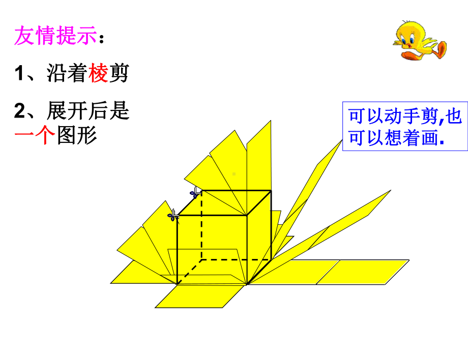 鲁教版(五四制)六年级上册-1.2-展开与折叠1-课件(共28页).ppt_第2页