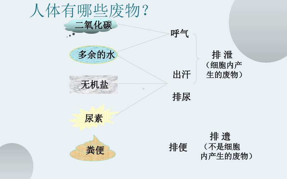 《人体内废物的排出》公开课一等奖课件.pptx_第2页