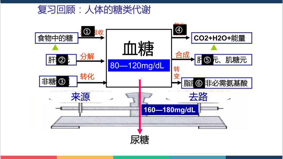 高中生物血糖的调节(复习课)公开课精品课件.ppt_第3页