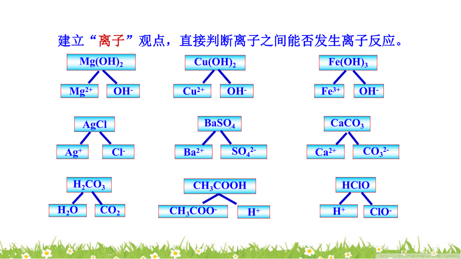 鲁教版高中化学必修一第二章第二节离子反应第三课时公开课教学课件共30张PPT-(共30张PPT).ppt_第3页