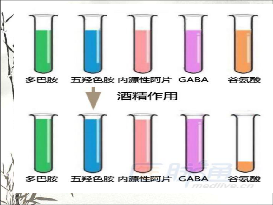 酒精相关精神障碍-PPT课件.ppt_第3页