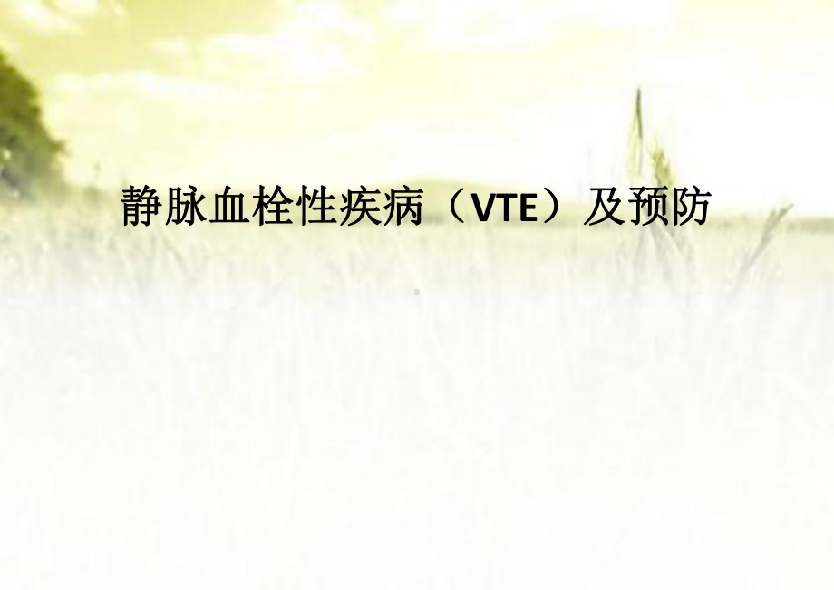 骨科VTE预防宣教ppt课件.ppt_第1页