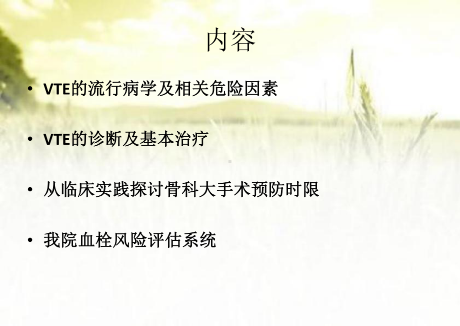 骨科VTE预防宣教ppt课件.ppt_第2页