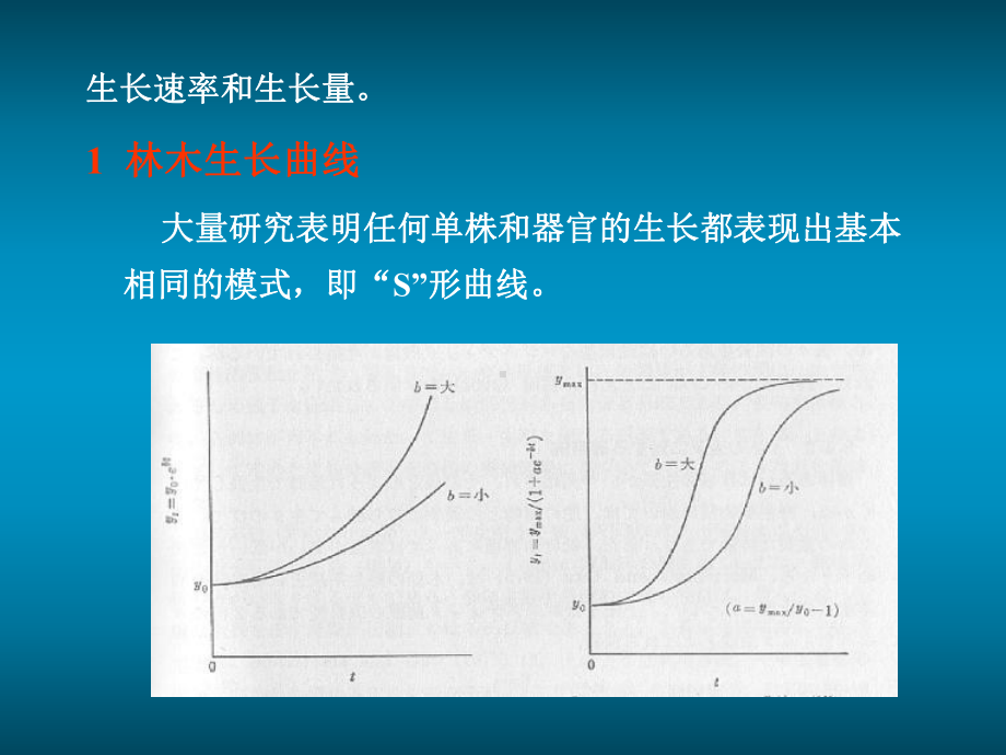 森林的生长发育与调控课件.pptx_第3页