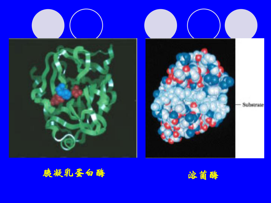 酶改性基本理论课件.pptx_第3页