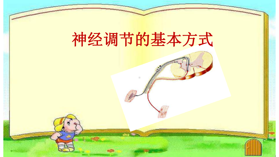 优课《神经调节的基本方式》一等奖教学课件.pptx_第1页