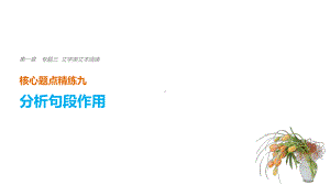 高考语文二轮复习考前三个月第一章核心题点精练专题三文学类文本阅读精练九分析句段作用课件.ppt