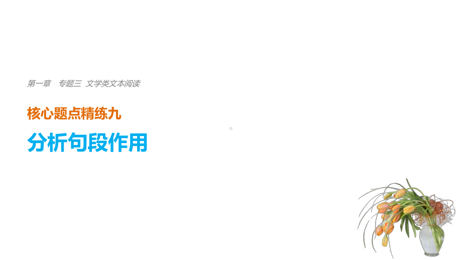 高考语文二轮复习考前三个月第一章核心题点精练专题三文学类文本阅读精练九分析句段作用课件.ppt_第1页