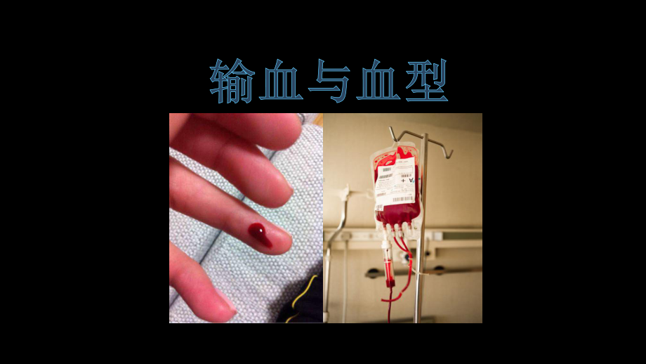 《输血与血型》一等奖优课教学课件.pptx_第1页