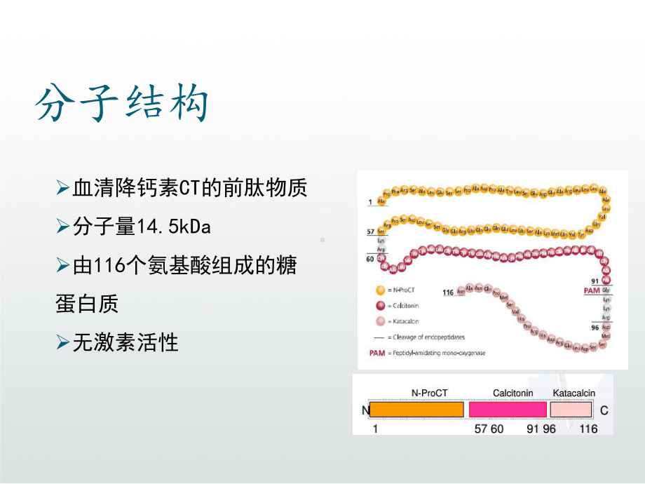 降钙素原检测PPT课件.ppt_第3页