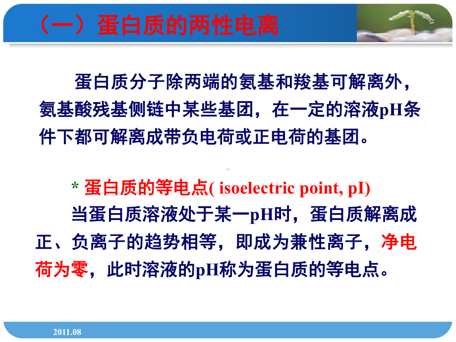 蛋白质的理化性质汇总课件.ppt_第3页