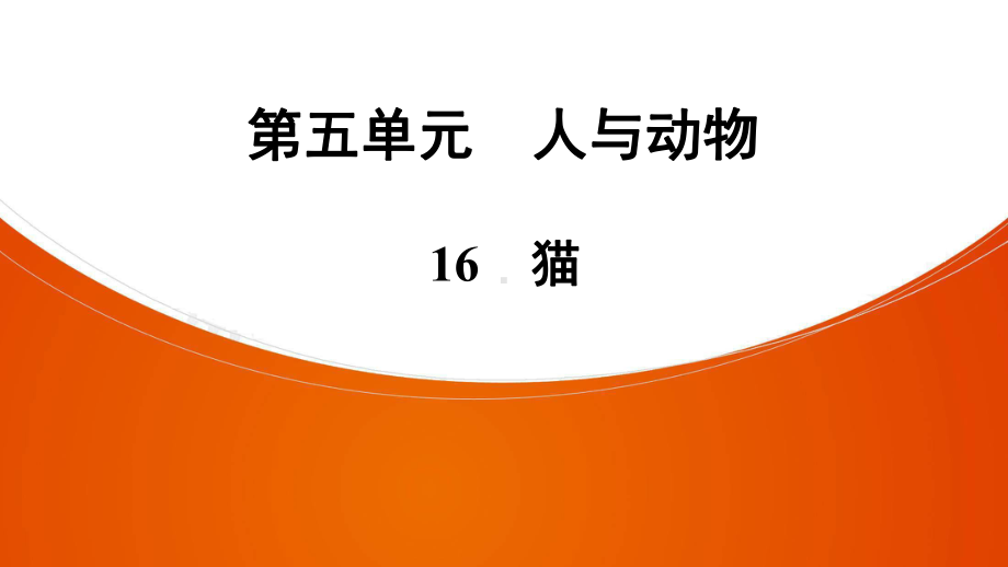 语文七年级上册人教版第5单元-16-猫课件.ppt_第1页