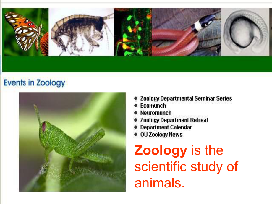 高三英语Zoology课件1.ppt_第2页