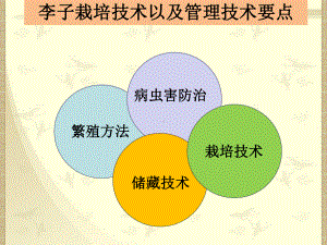 栽培技术果园品种选择课件.pptx