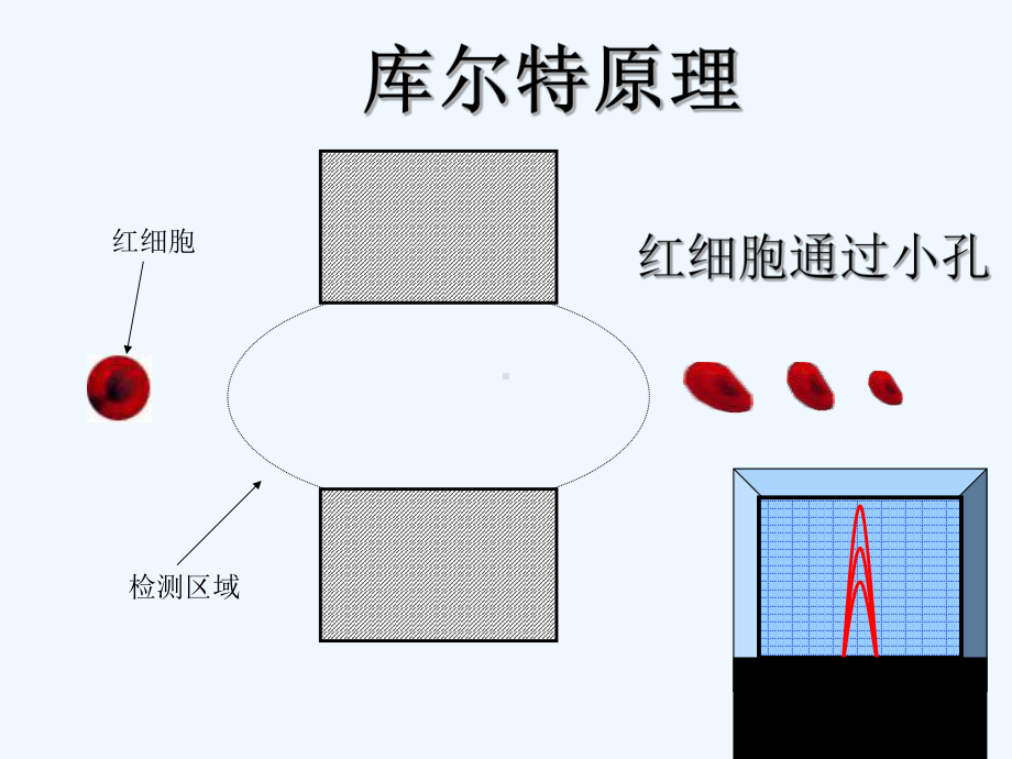 血细胞直方图和散点图的临床意义(ppt)课件.ppt_第3页