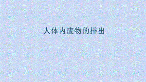 优课《人体内废物的排除》教学课件.pptx