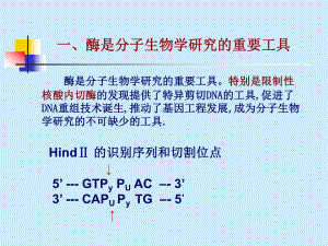 酶工程第十节酶与现代生命科学课件.ppt