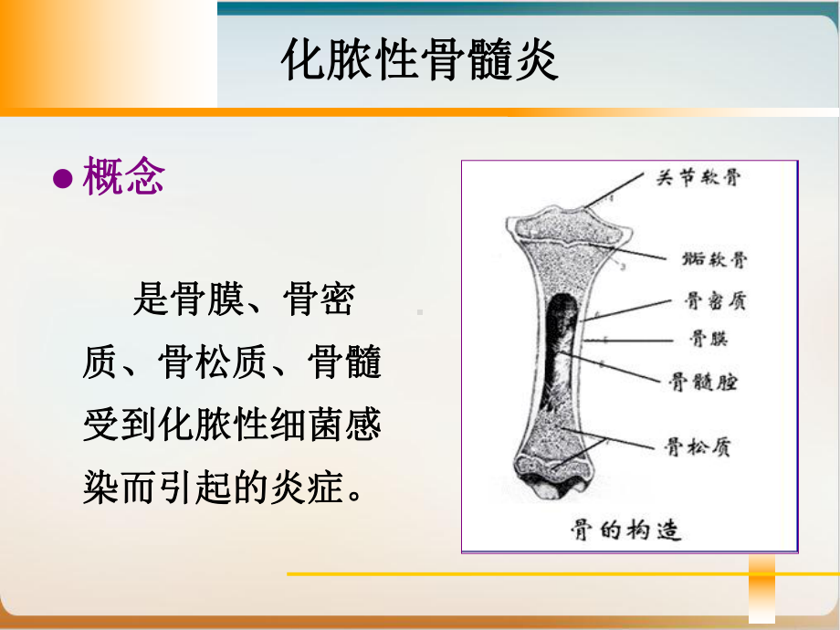 骨与关节感染课件PPT.pptx_第2页