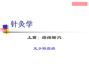 针灸学13足少阳胆经PPT课件.ppt