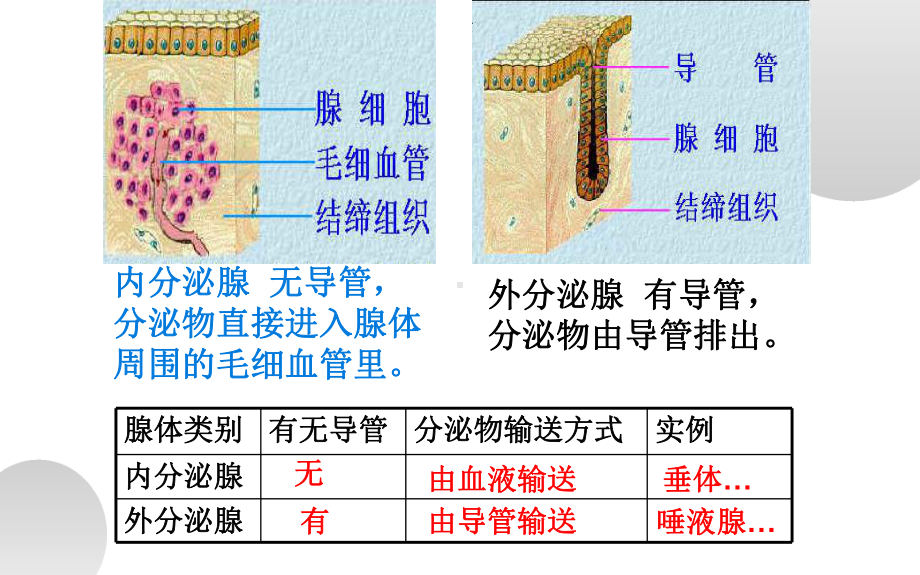 优质课《激素调节》一等奖课件.pptx_第2页