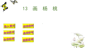 部编版二年级语文下册教学课件-第五单元-13画杨桃.pptx