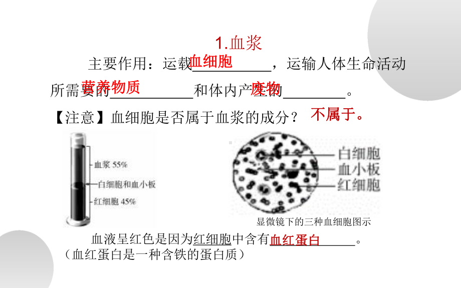 《人体内物质的运输》复习课一等奖课件.pptx_第3页